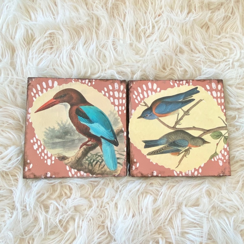 Boho Prints of Birds on Colorful Wall Art